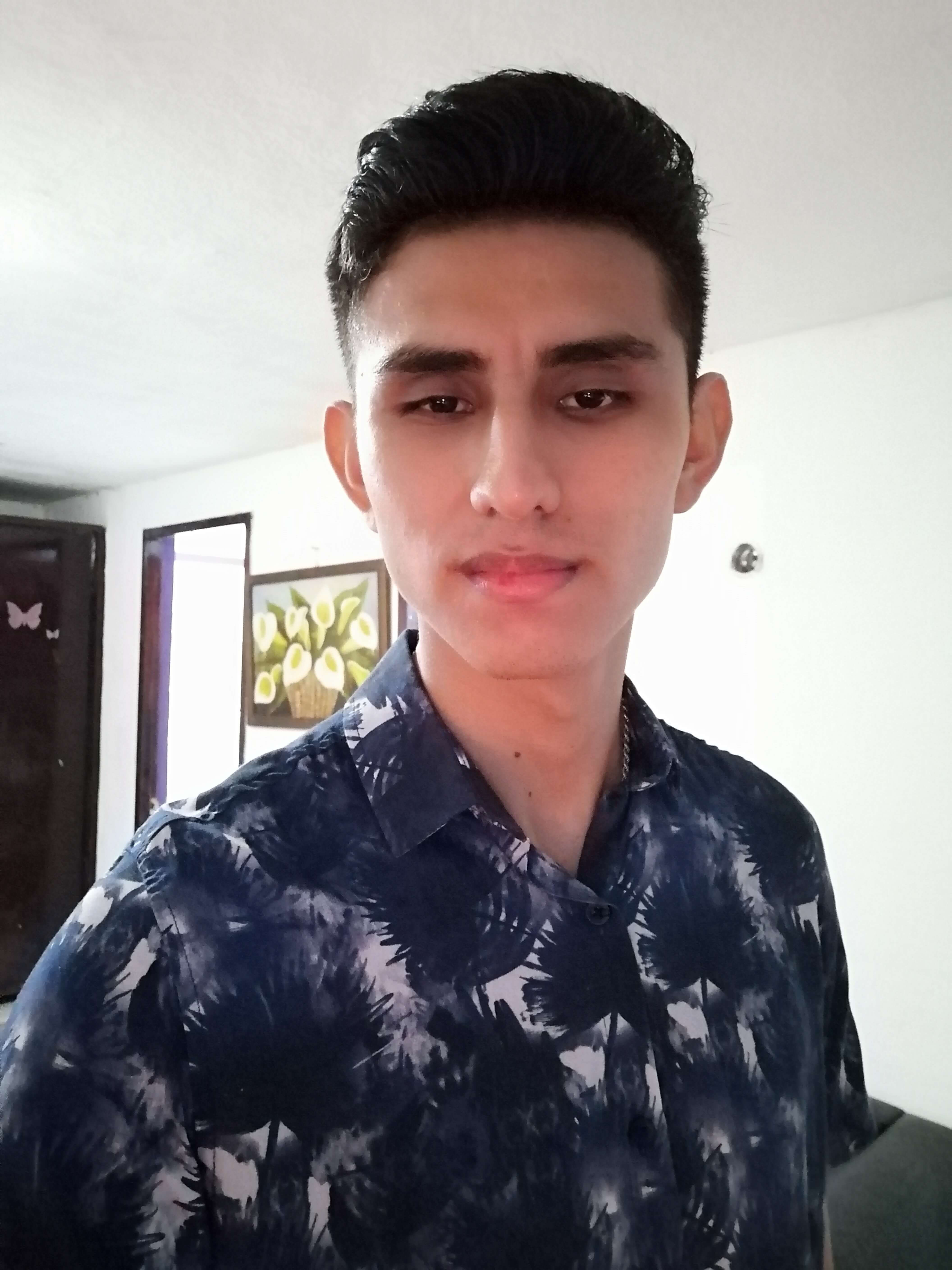 Developer Working